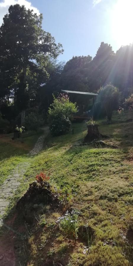 Miriam'S Quetzals Lodge San Gerardo de Dota Eksteriør billede