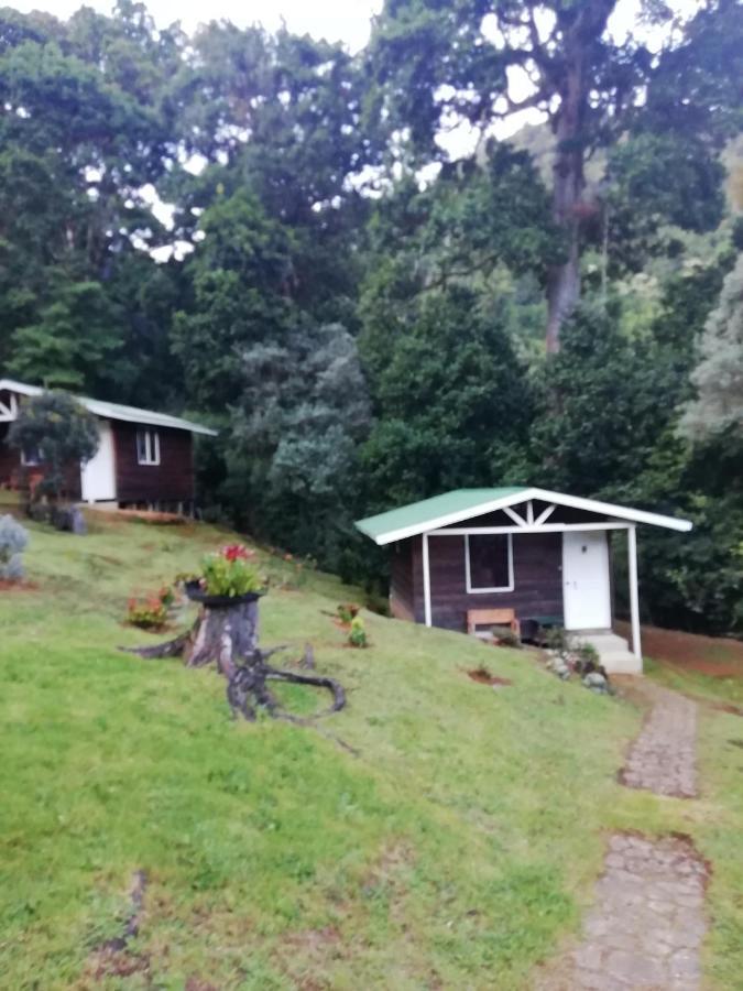 Miriam'S Quetzals Lodge San Gerardo de Dota Eksteriør billede