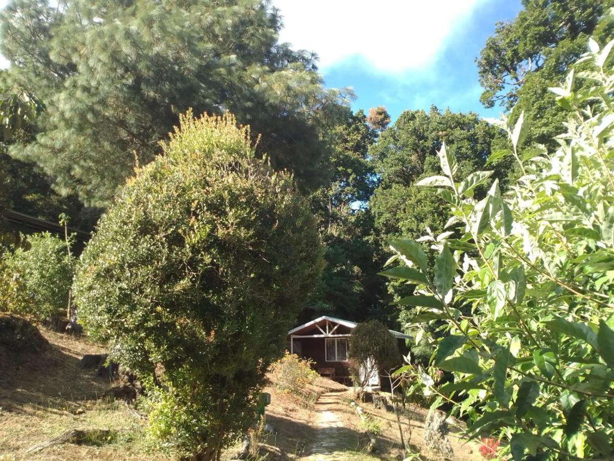Miriam'S Quetzals Lodge San Gerardo de Dota Eksteriør billede