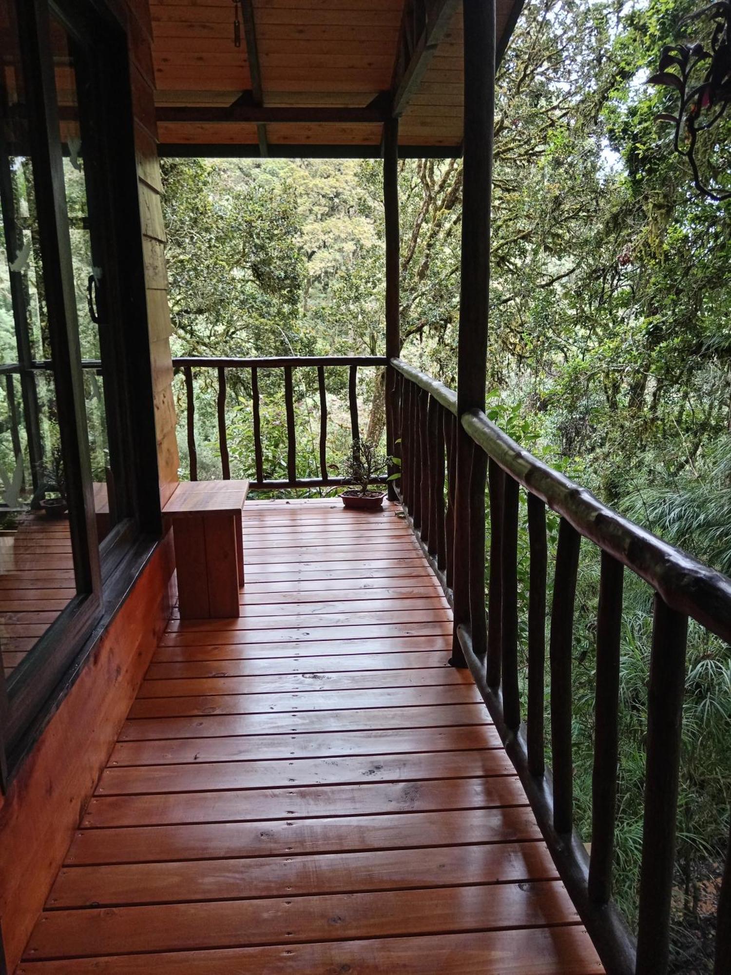 Miriam'S Quetzals Lodge San Gerardo de Dota Eksteriør billede