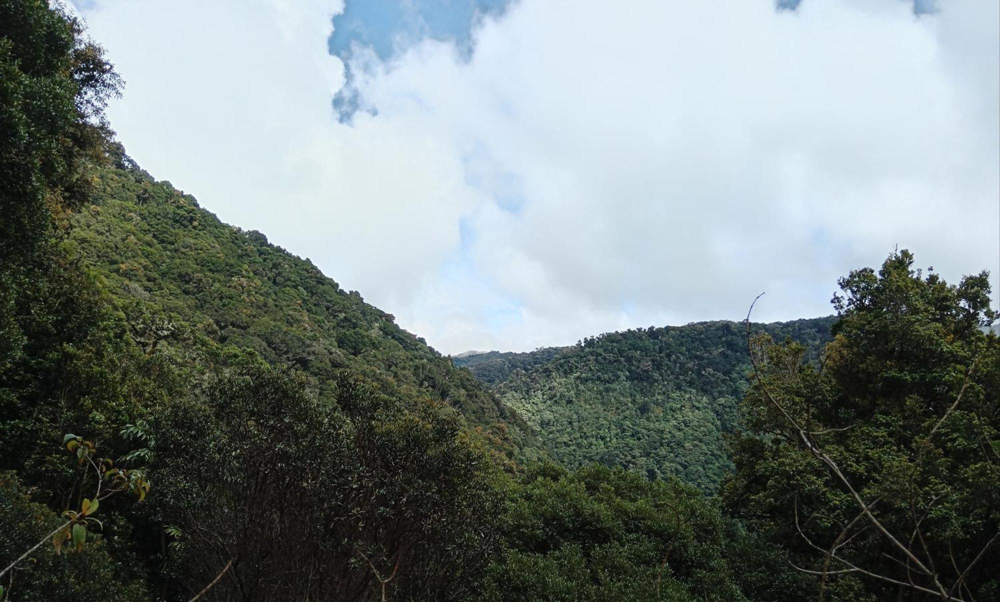 Miriam'S Quetzals Lodge San Gerardo de Dota Eksteriør billede