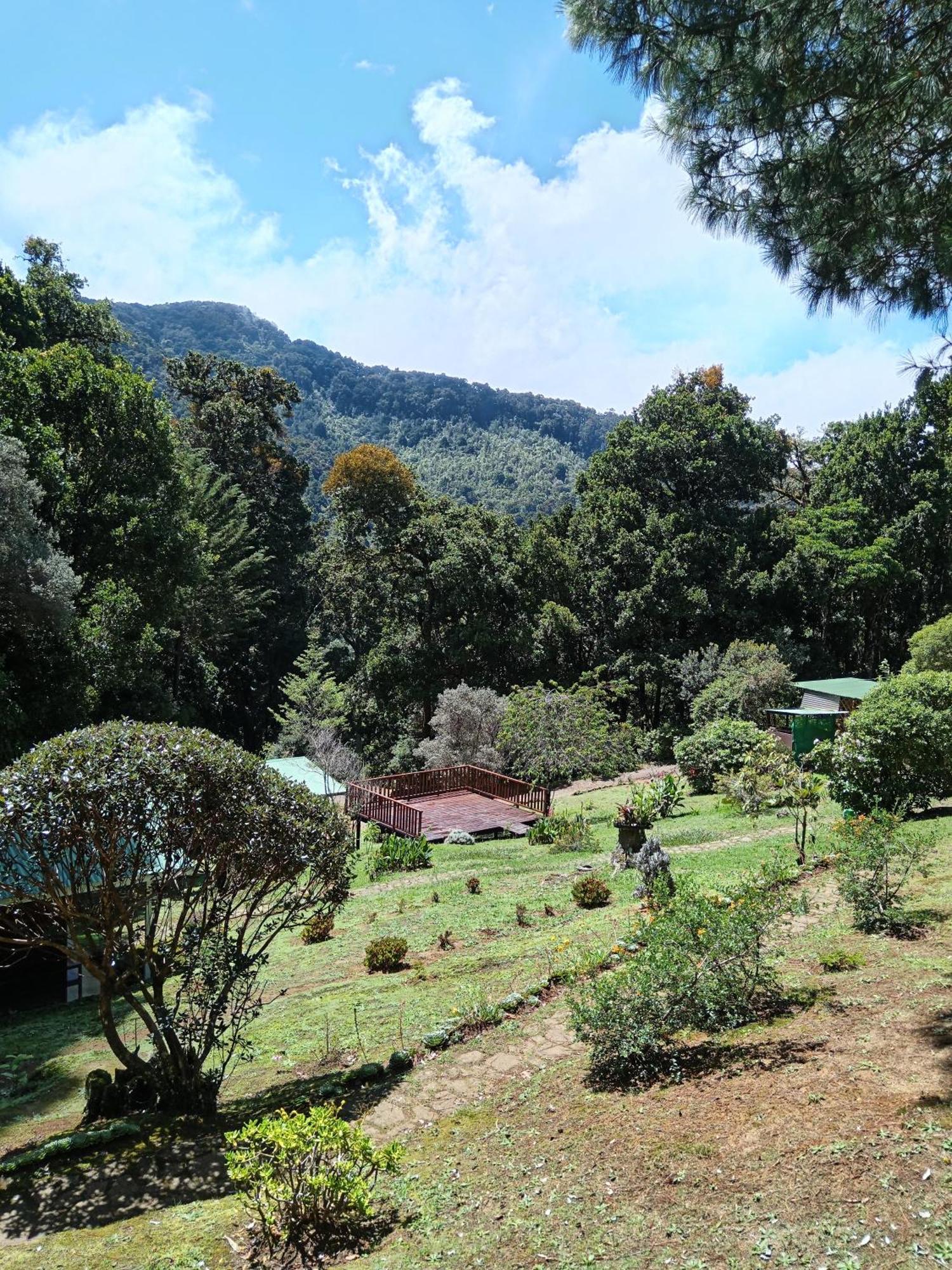 Miriam'S Quetzals Lodge San Gerardo de Dota Eksteriør billede