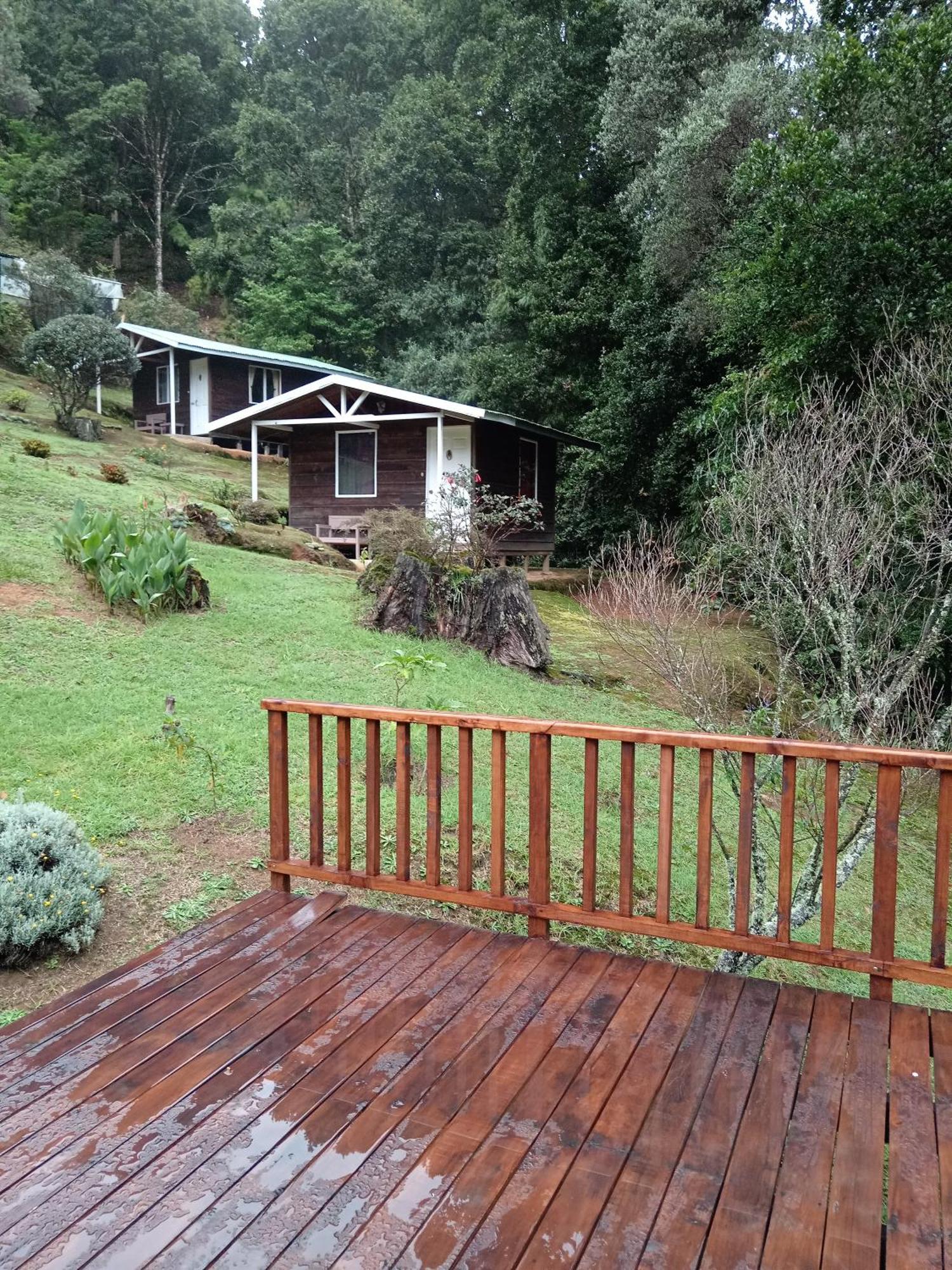 Miriam'S Quetzals Lodge San Gerardo de Dota Eksteriør billede