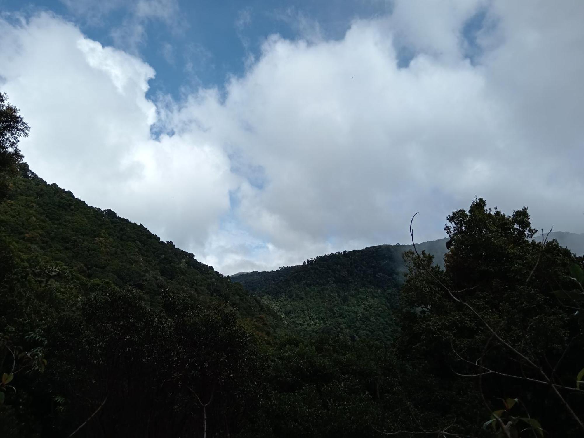 Miriam'S Quetzals Lodge San Gerardo de Dota Eksteriør billede