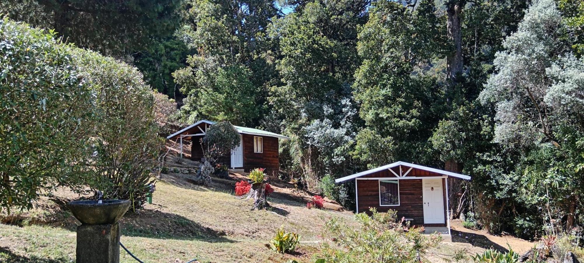 Miriam'S Quetzals Lodge San Gerardo de Dota Eksteriør billede