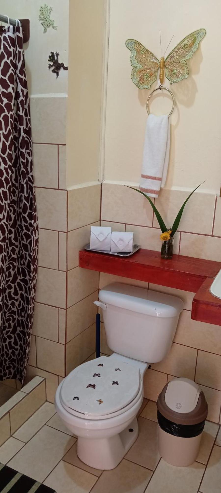 Miriam'S Quetzals Lodge San Gerardo de Dota Eksteriør billede