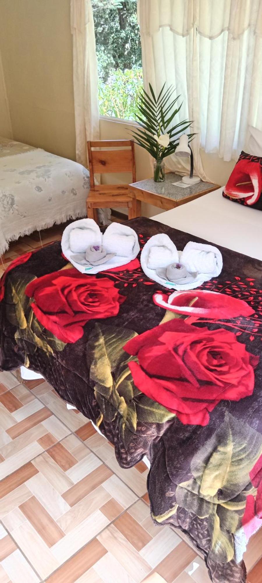 Miriam'S Quetzals Lodge San Gerardo de Dota Eksteriør billede