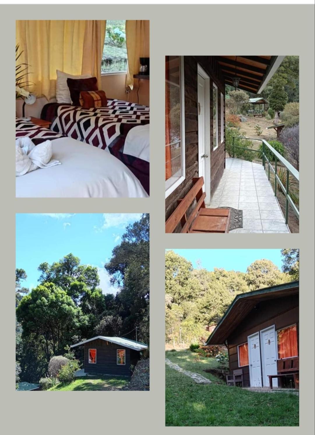 Miriam'S Quetzals Lodge San Gerardo de Dota Eksteriør billede