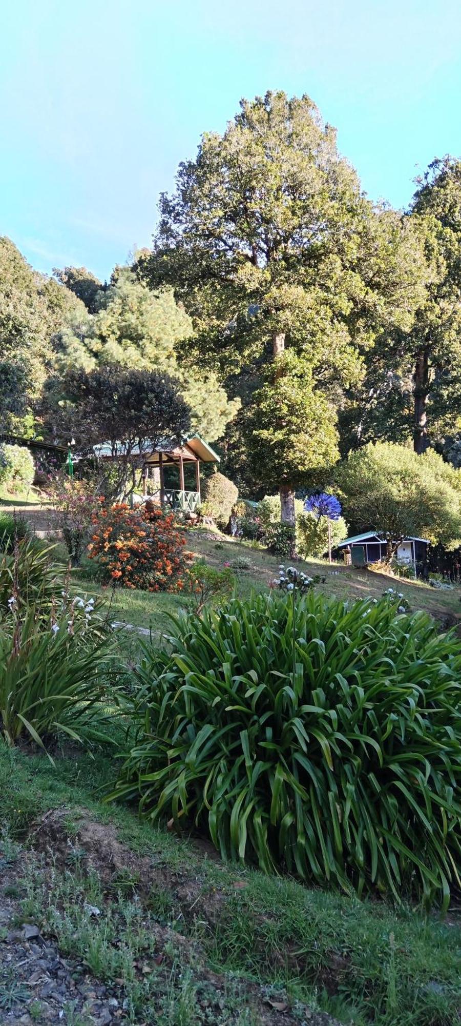 Miriam'S Quetzals Lodge San Gerardo de Dota Eksteriør billede