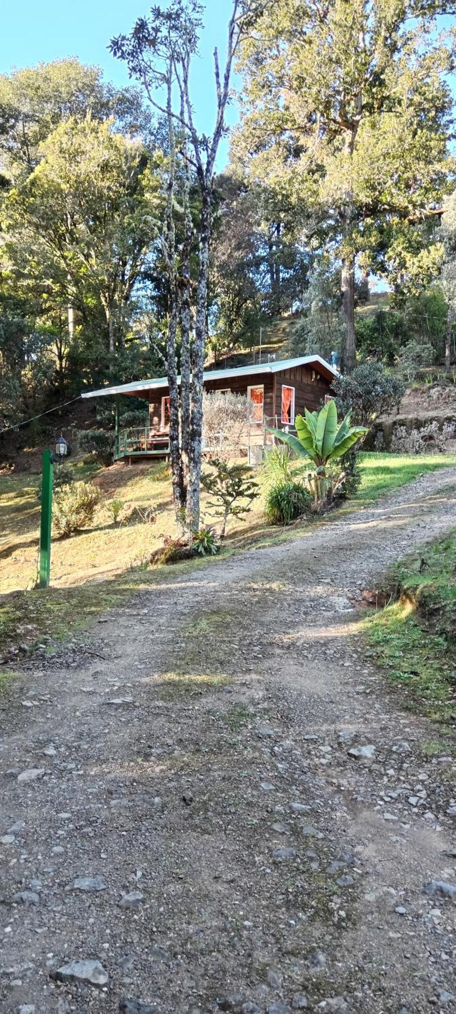 Miriam'S Quetzals Lodge San Gerardo de Dota Eksteriør billede
