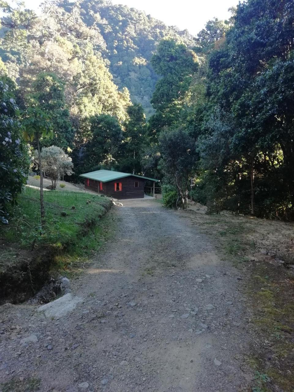 Miriam'S Quetzals Lodge San Gerardo de Dota Eksteriør billede
