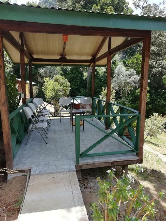 Miriam'S Quetzals Lodge San Gerardo de Dota Eksteriør billede