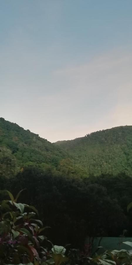 Miriam'S Quetzals Lodge San Gerardo de Dota Eksteriør billede